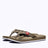 TONG KITO 2025 - AA206M-OAT