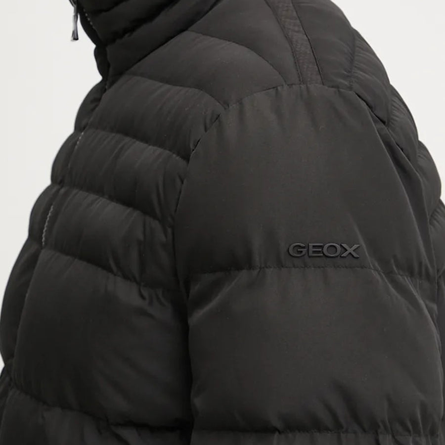 Veste GEOX HOMME