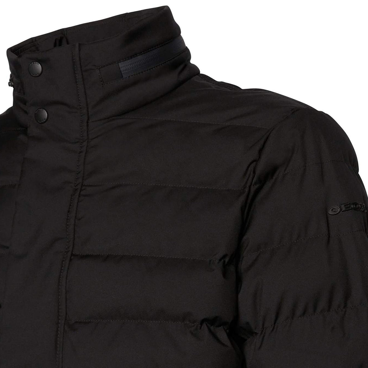 Veste GEOX HOMME