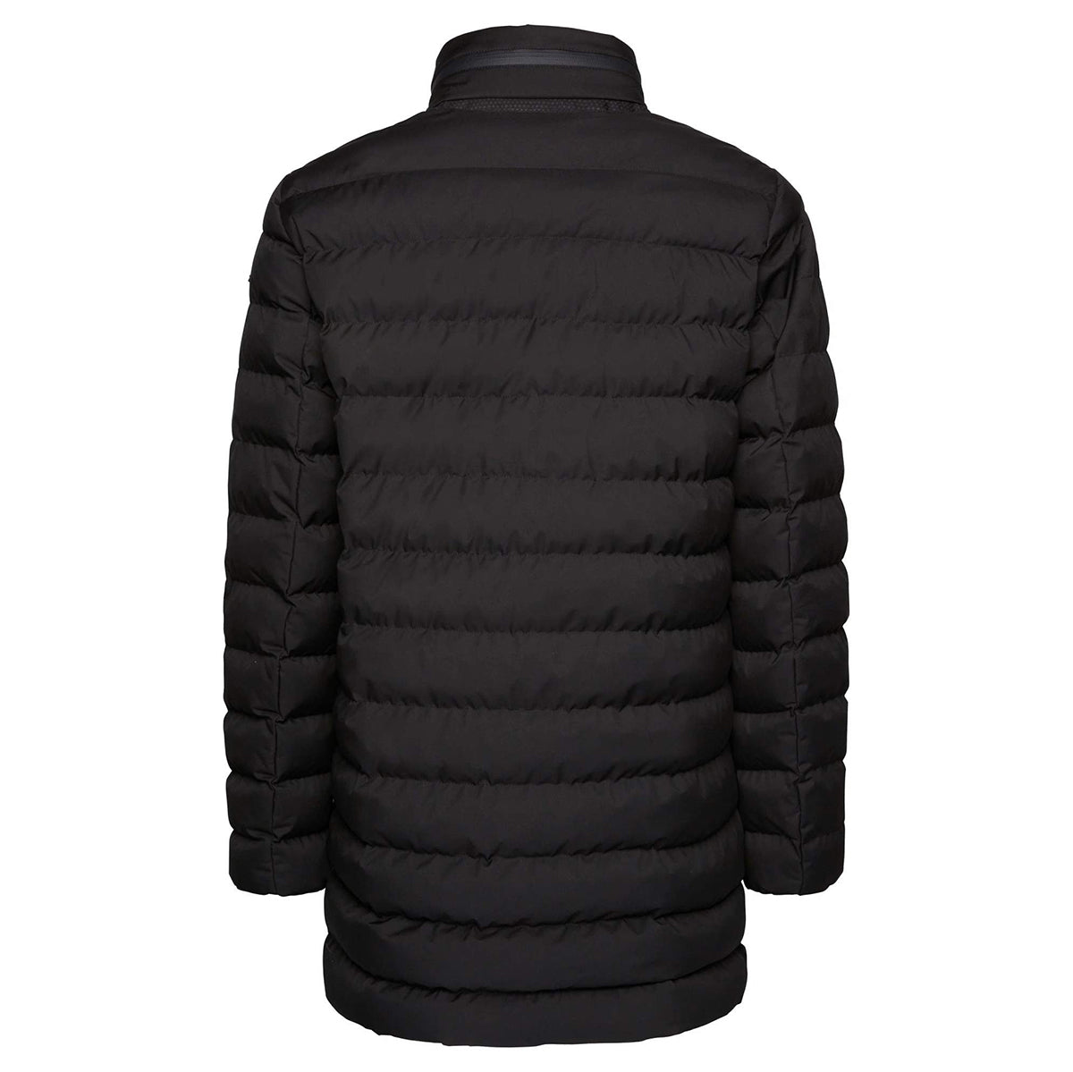 Veste GEOX HOMME