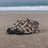 Hi-Tec - Cove Sport Taupe-Sand