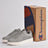 Champion - S11469-ES016