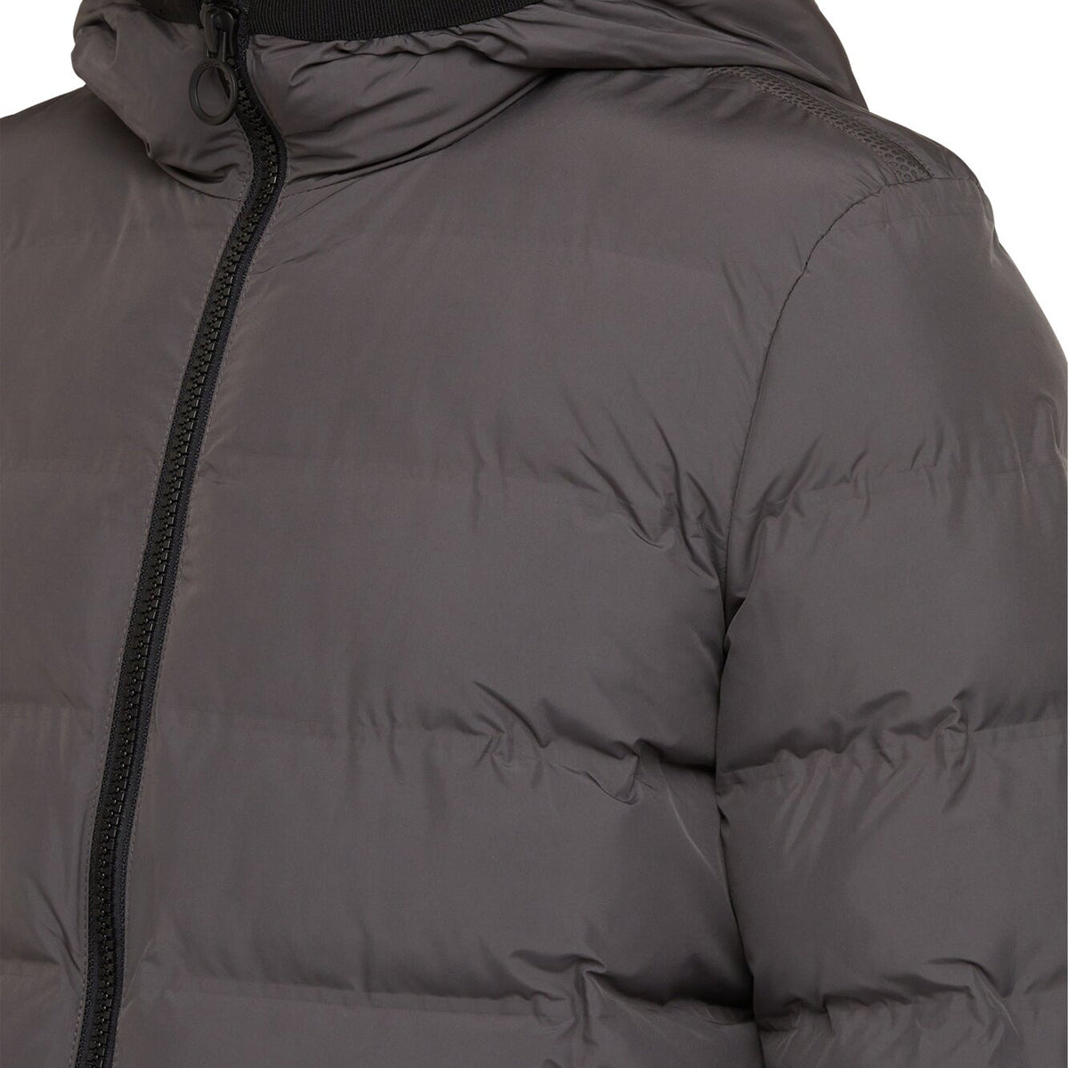 Veste GEOX HOMME