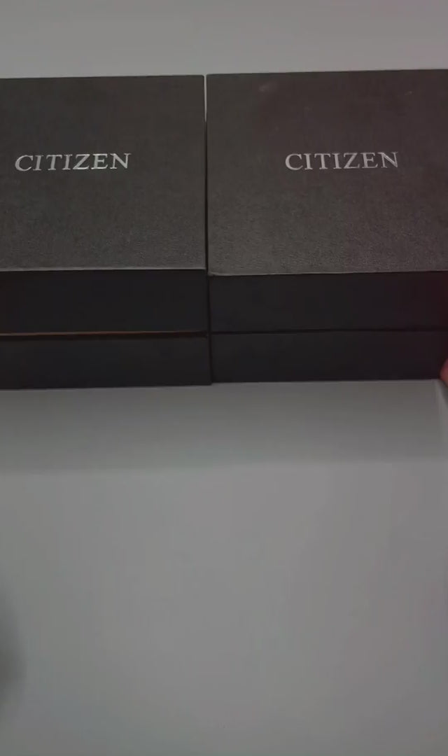 Citizen Mechanical