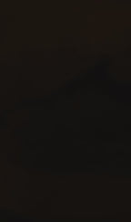 HI TEC - Fuse Trail Low