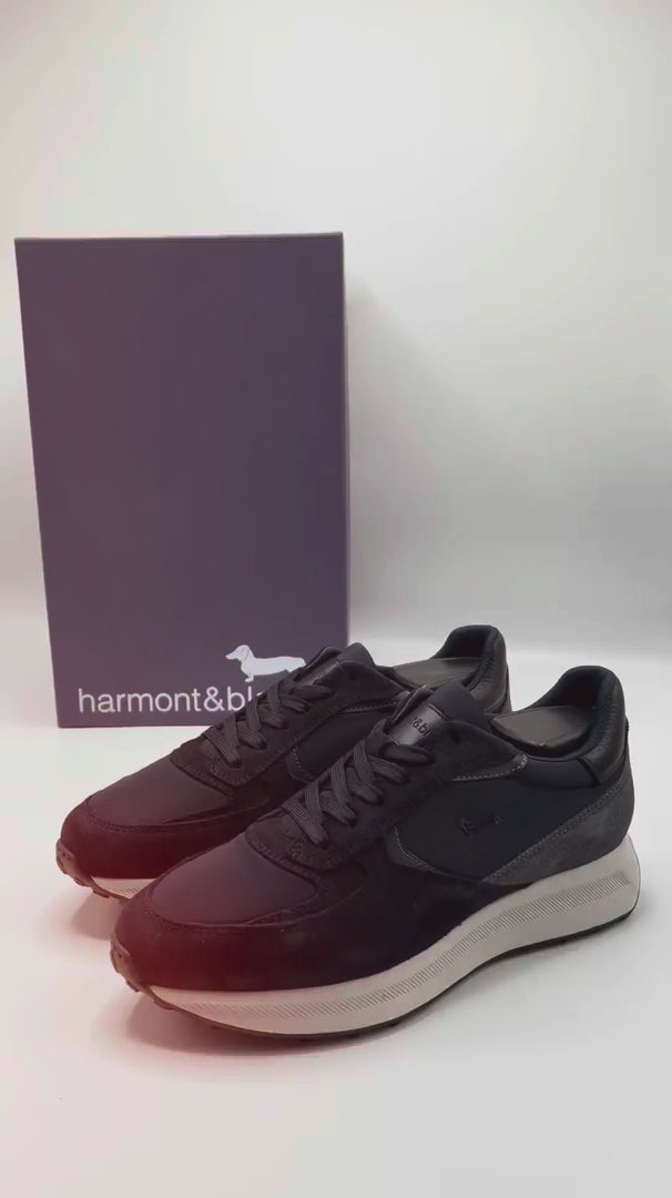 Harmont and Blaine Camoscio Tex Sneakers Homme